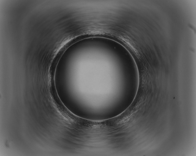 X0000095530584200712141504