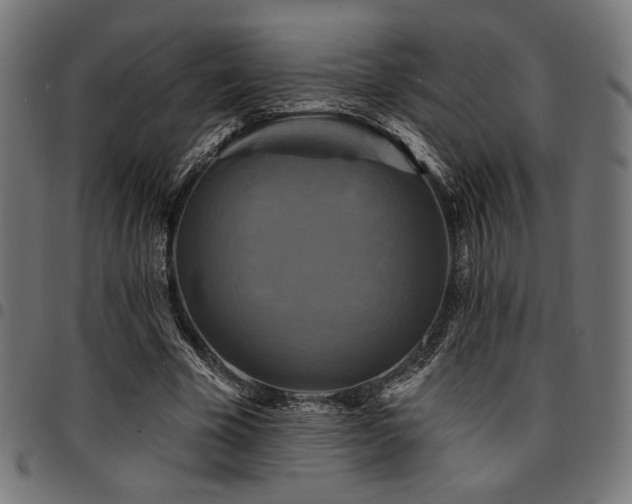 X0000095530585200712141504