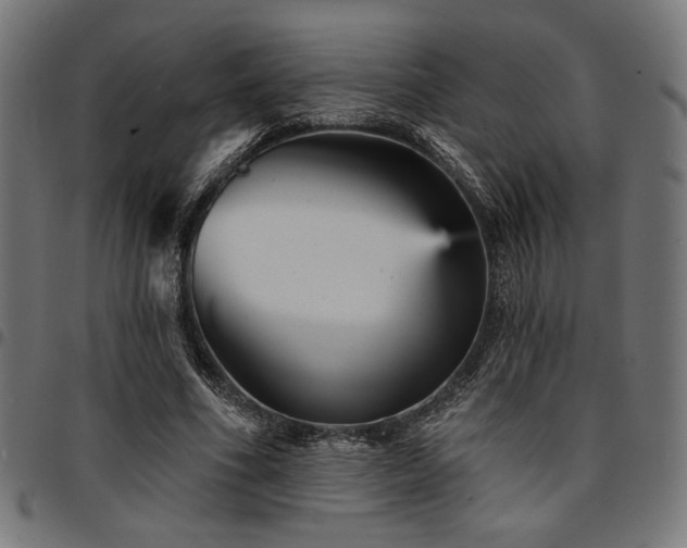 X0000095530586200712141504