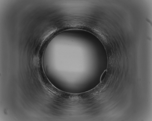 X0000095530587200712141504
