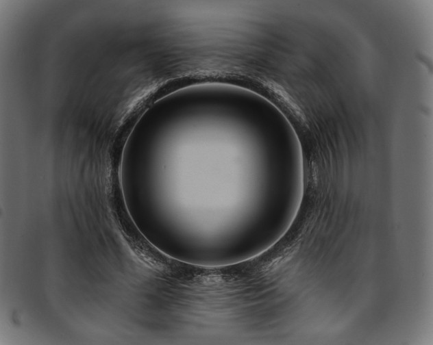 X0000095530588200712141504