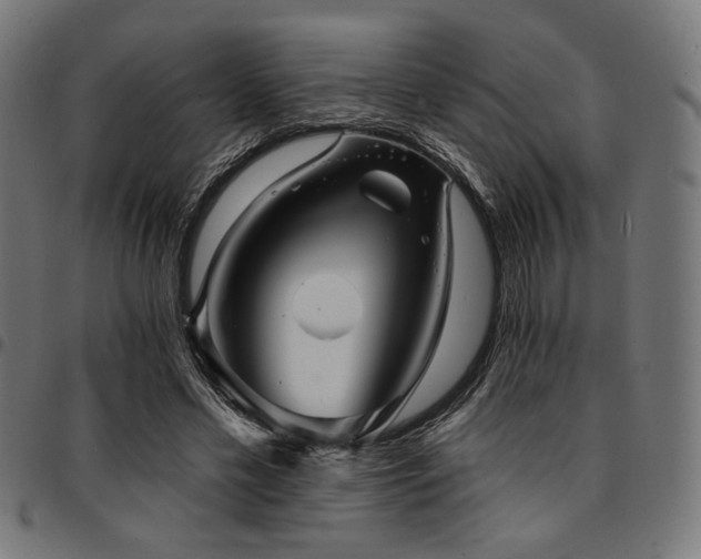 X0000095530589200712141504