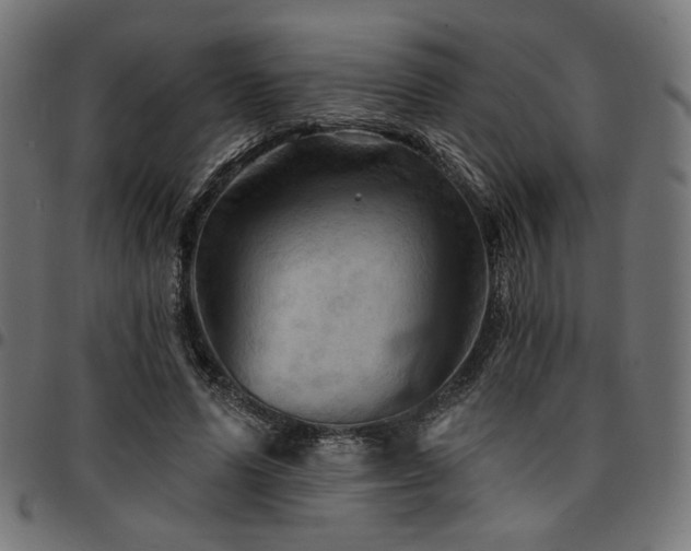 X0000095530591200712141504