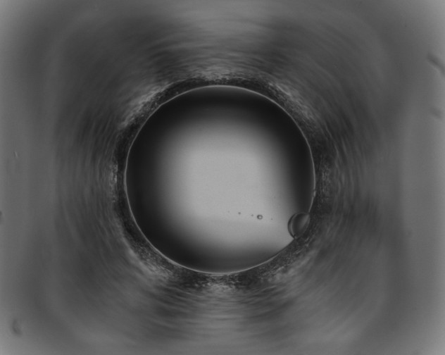 X0000095530592200712141504