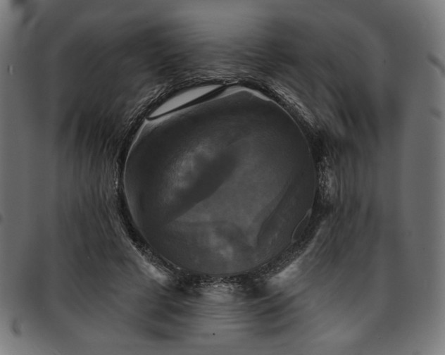 X0000095530593200712141504