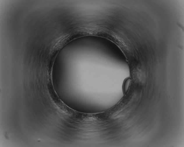 X0000095530594200712141504