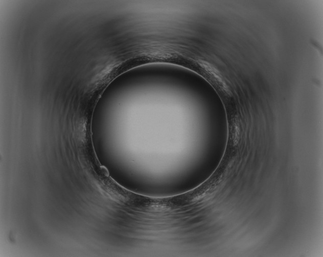 X0000095530596200712141504