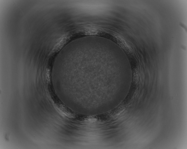 X0000095530598200712141504