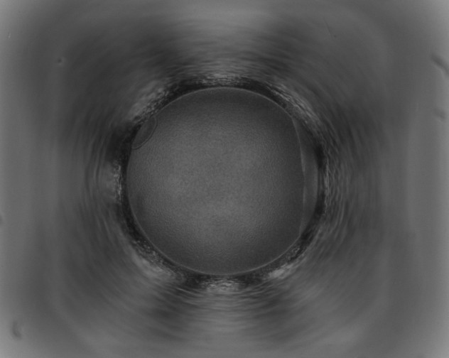 X0000095530599200712141504