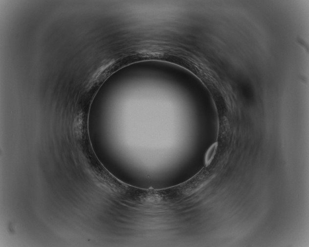 X0000095530600200712141504