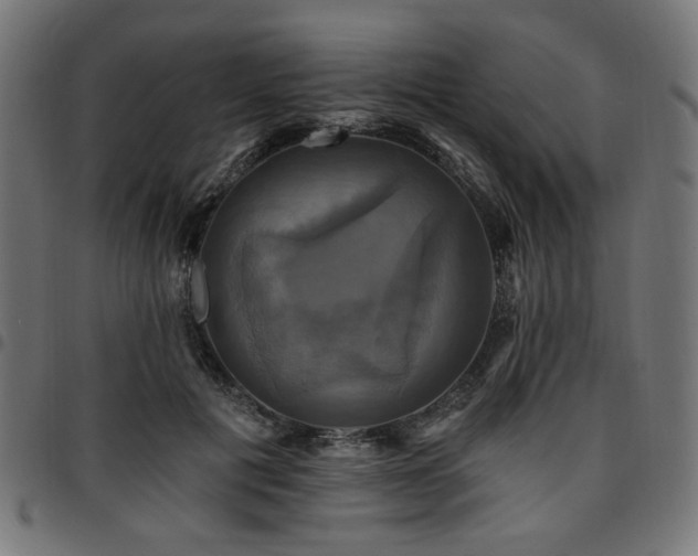 X0000095530601200712141504