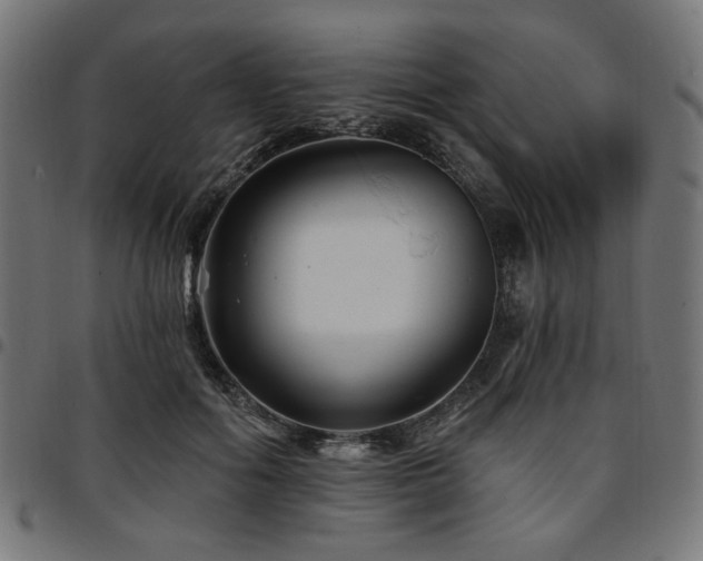 X0000095530602200712141504