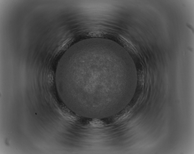 X0000095530603200712141504