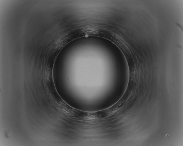 X0000095530604200712141504