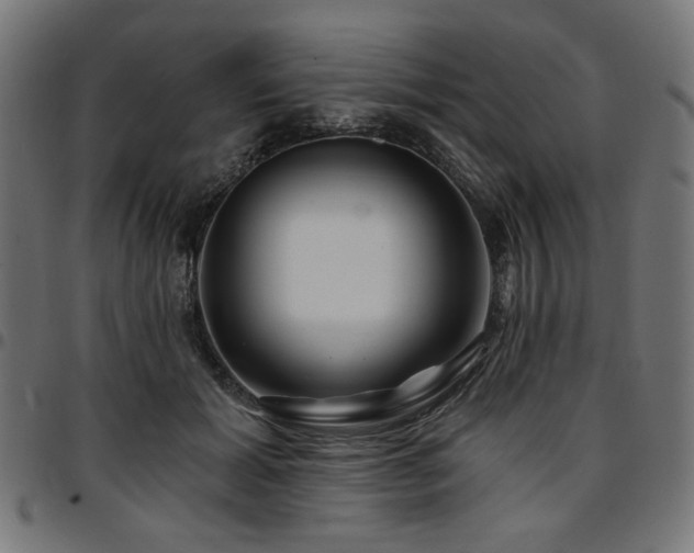 X0000095530605200712141504