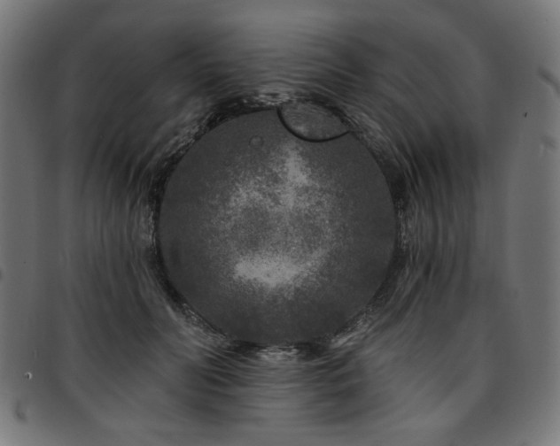 X0000095530606200712141504