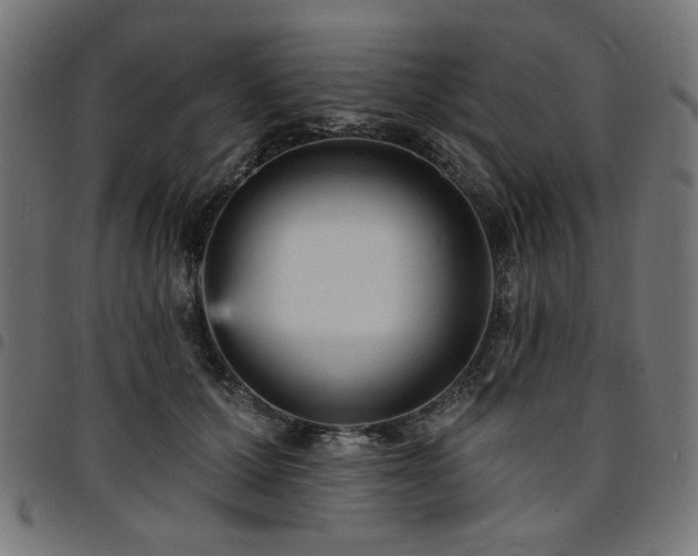 X0000095530607200712141504