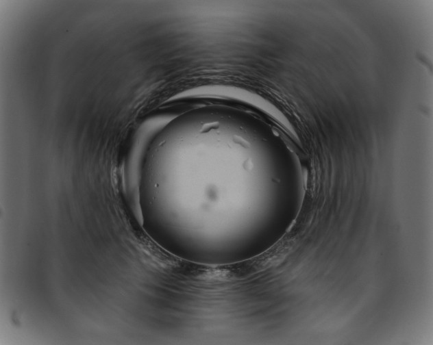 X0000095530609200712141504