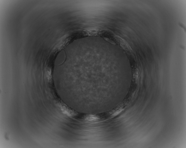 X0000095530610200712141504
