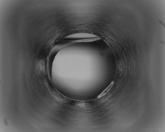 X0000095530611200712141504