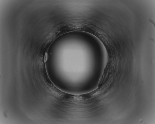 X0000095530612200712141504