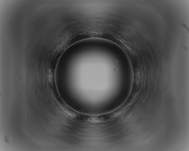 X0000095530613200712141504