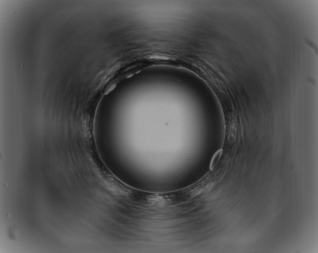 X0000095530616200712141504