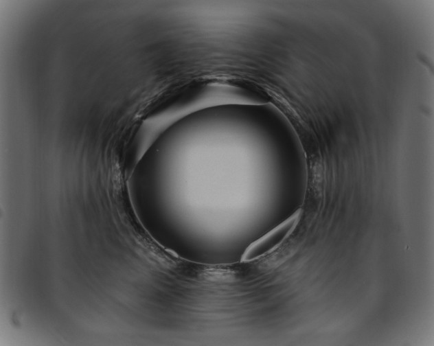 X0000095530617200712141504