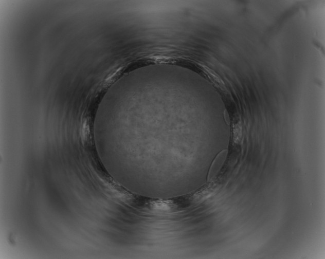 X0000095530618200712141504