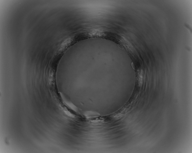 X0000095530619200712141504