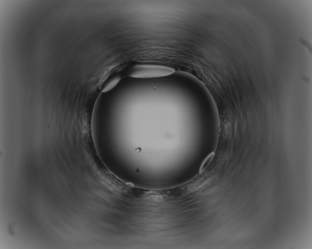 X0000095530620200712141503