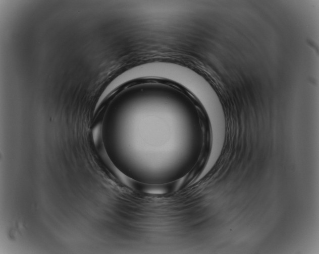 X0000095530621200712141503