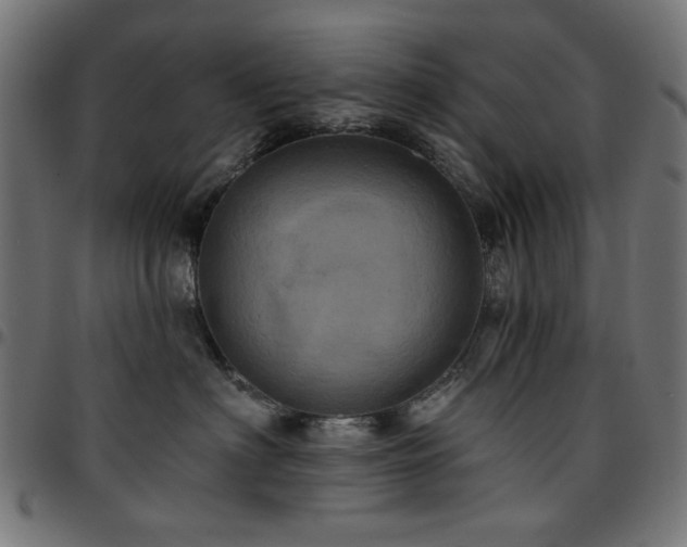 X0000095530622200712141503