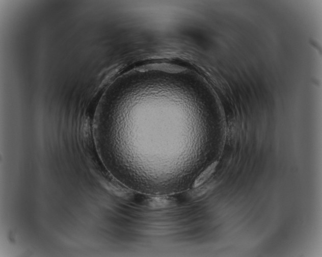 X0000095530623200712141503