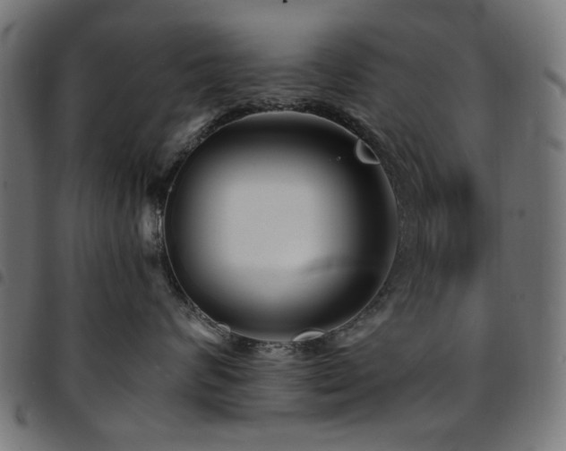 X0000095530624200712141503