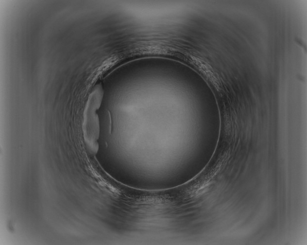 X0000095530625200712141503