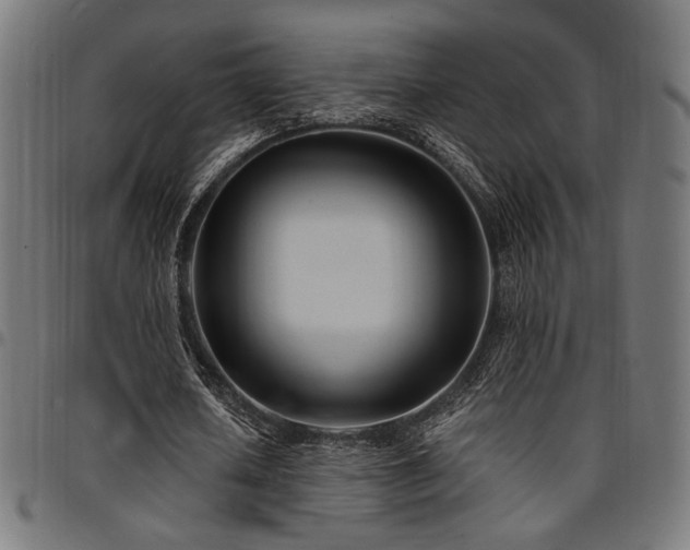 X0000095530626200712141503