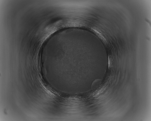 X0000095530627200712141503