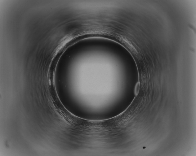 X0000095530628200712141503