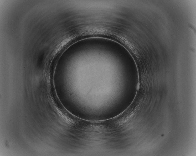 X0000095530629200712141503