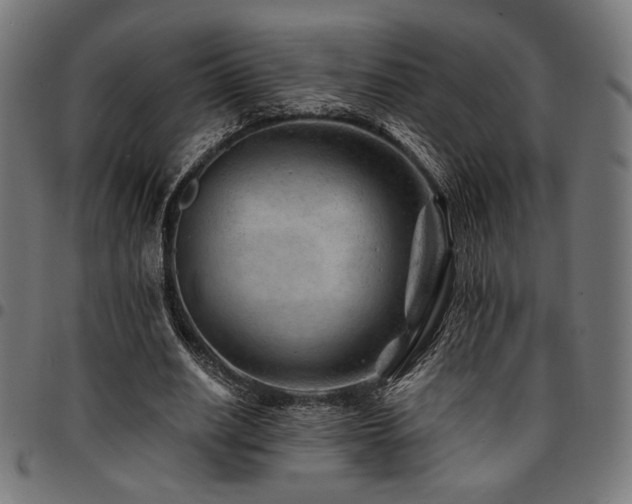 X0000095530630200712141503