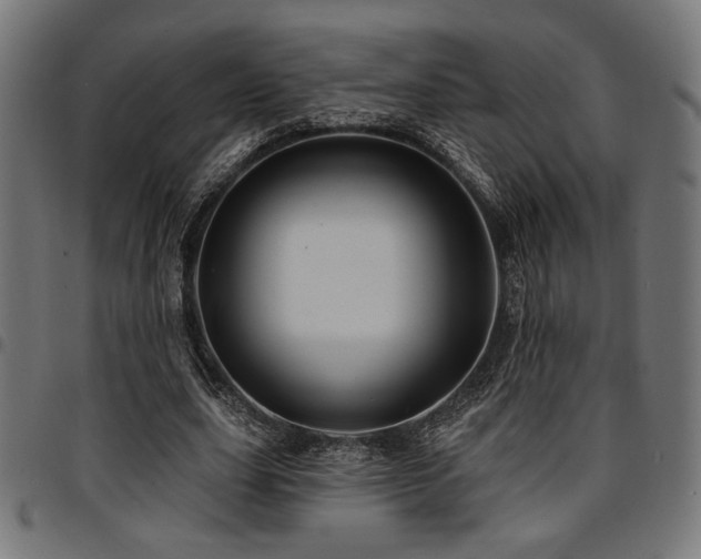 X0000095530631200712141503