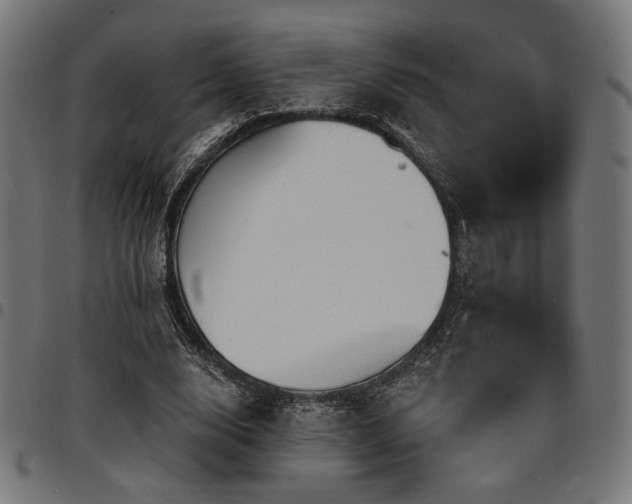 X0000095530632200712141503