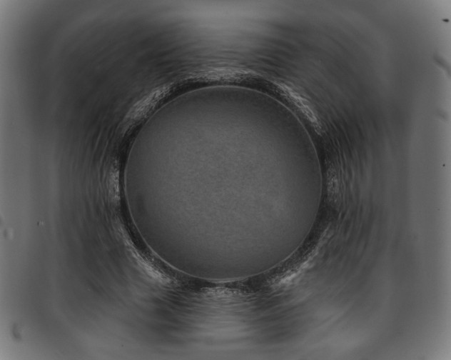 X0000095530633200712141503