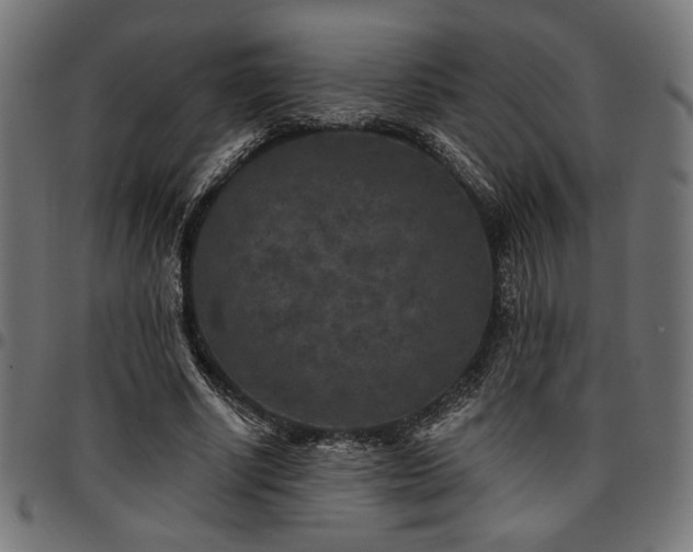 X0000095530634200712141503