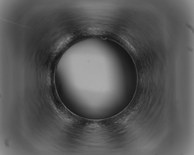 X0000095530635200712141503