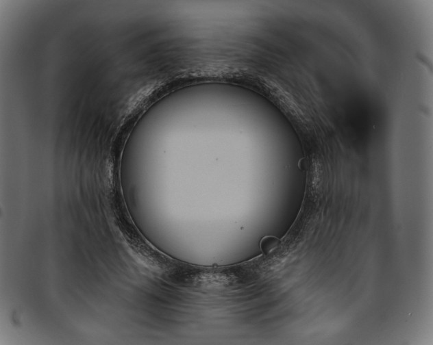 X0000095530636200712141503