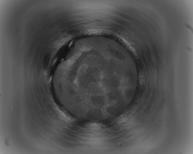X0000095530637200712141503