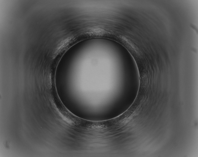 X0000095530638200712141503