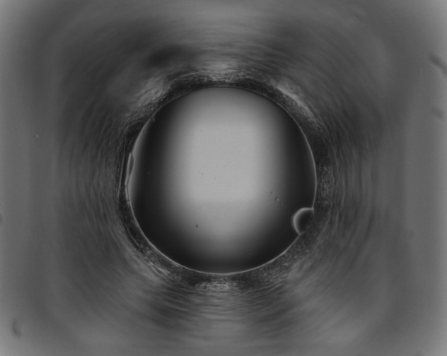 X0000095530639200712141503